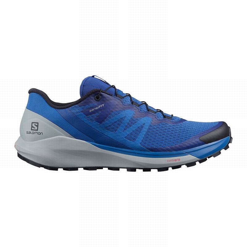 Zapatillas De Running Salomon Hombre Azules - Salomon Argentina SENSE RIDE 4 ,930187-NWU